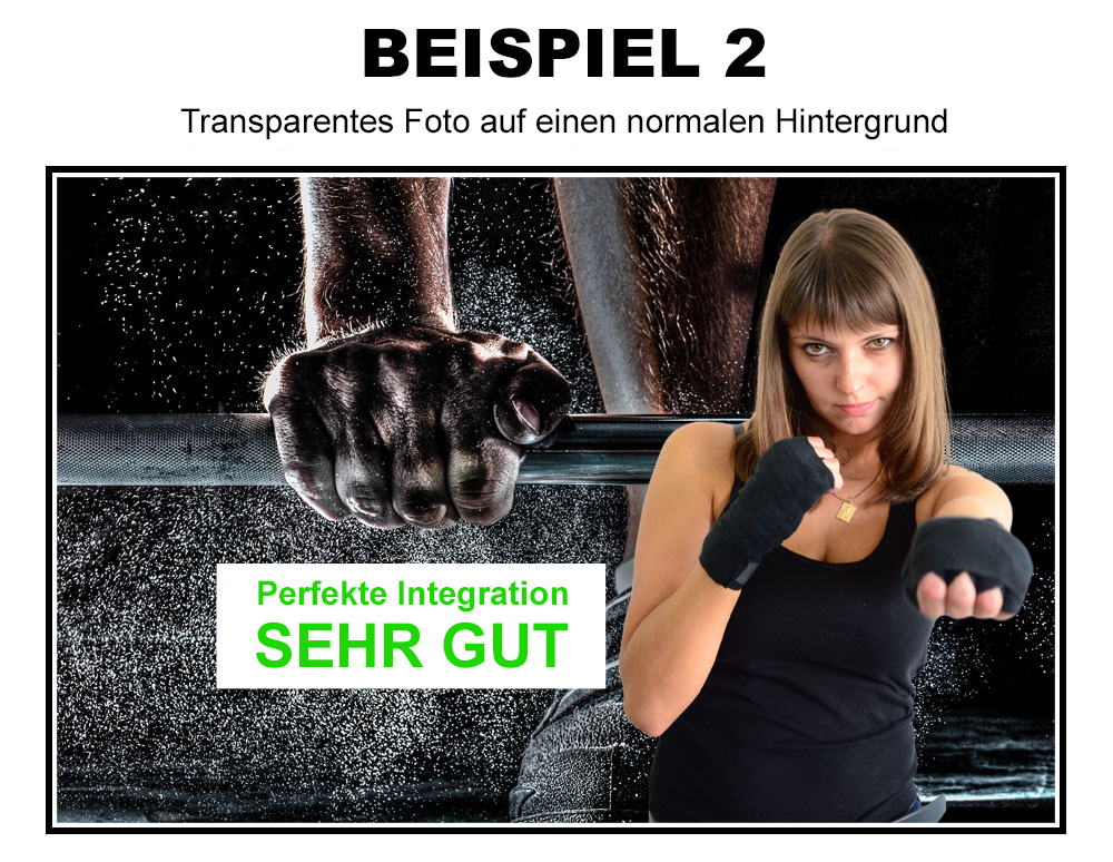 beispiel-gut